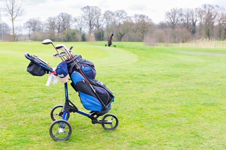 mooi diefstal grillen Can You Use a Stand Bag on a Golf Trolley? (Explained)